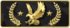 Legendary Eagle Master